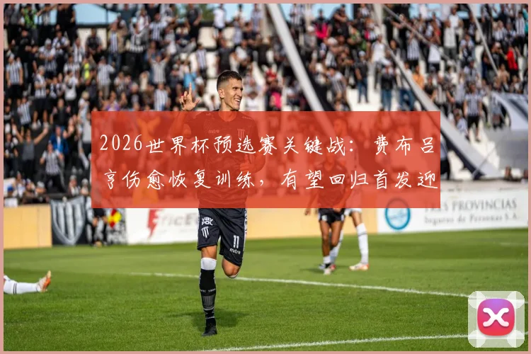 2026世界杯预选赛关键战:费布吕亨伤愈恢复训练,有望回归首发迎战日本队,荷兰门将之争再起波澜