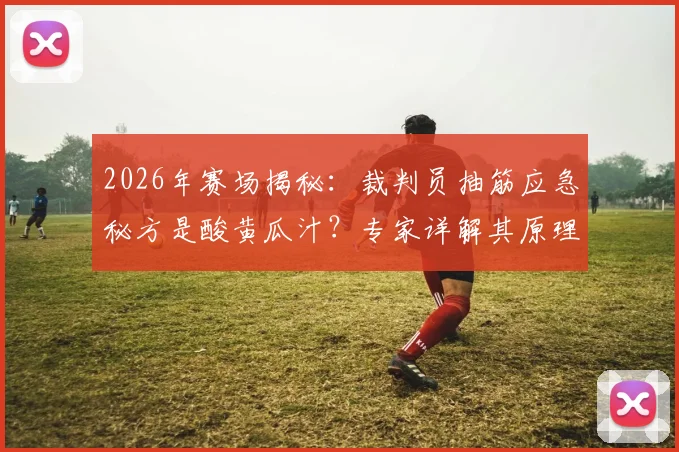 2026年赛场揭秘：裁判员抽筋应急秘方是酸黄瓜汁？专家详解其原理与运动恢复应用